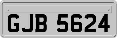 GJB5624