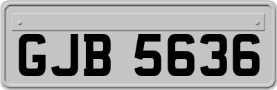 GJB5636