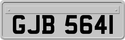 GJB5641
