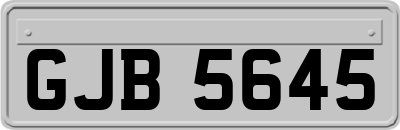 GJB5645