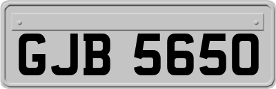 GJB5650