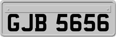 GJB5656