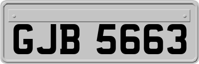 GJB5663
