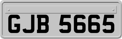 GJB5665