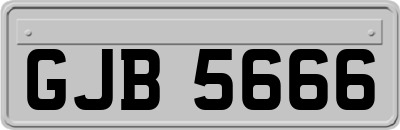 GJB5666