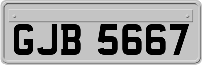 GJB5667