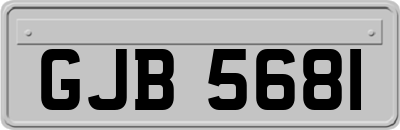 GJB5681