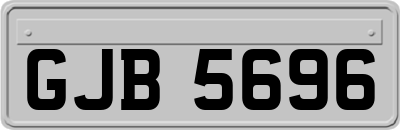 GJB5696