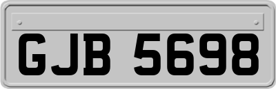 GJB5698