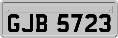GJB5723