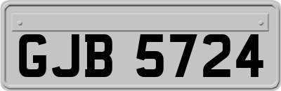 GJB5724