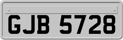 GJB5728