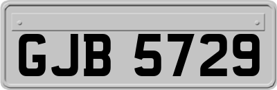 GJB5729