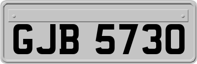 GJB5730