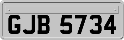 GJB5734