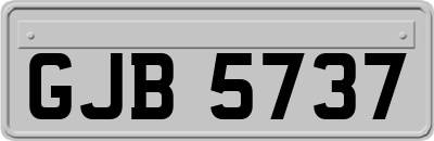 GJB5737