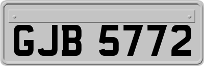 GJB5772