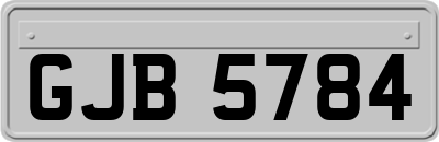 GJB5784