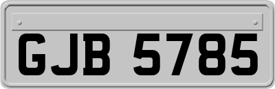 GJB5785