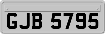 GJB5795