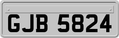 GJB5824