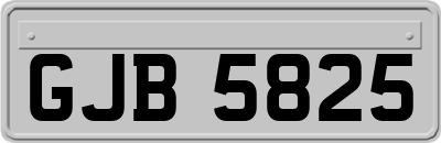 GJB5825