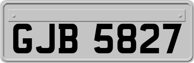 GJB5827
