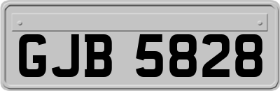 GJB5828