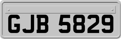 GJB5829
