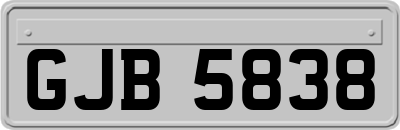 GJB5838