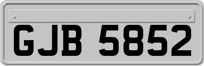 GJB5852