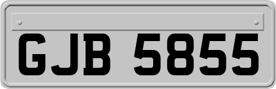 GJB5855
