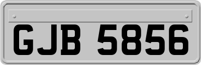 GJB5856