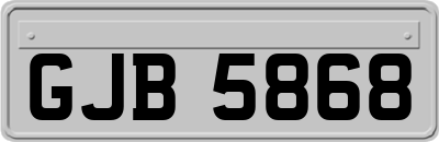 GJB5868