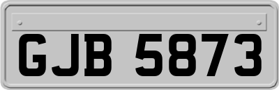 GJB5873