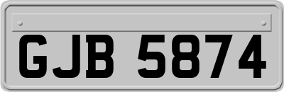 GJB5874