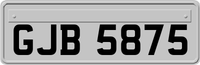 GJB5875