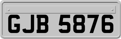 GJB5876