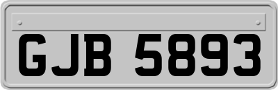 GJB5893