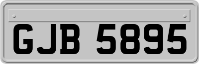 GJB5895