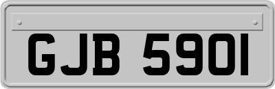 GJB5901