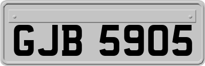 GJB5905