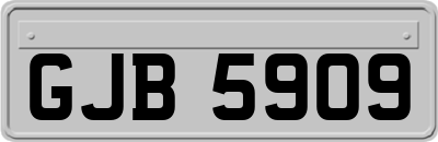 GJB5909