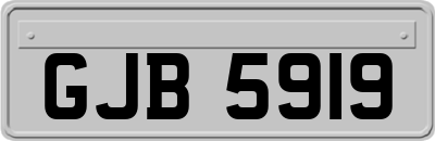 GJB5919