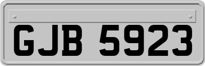 GJB5923