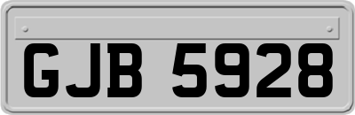 GJB5928