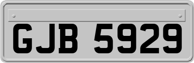 GJB5929