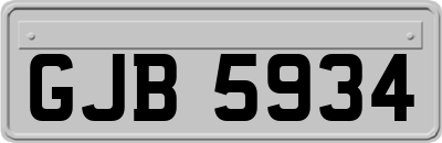 GJB5934