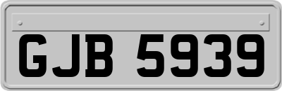 GJB5939