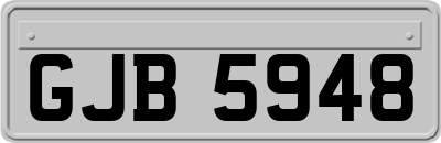 GJB5948